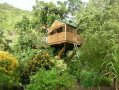 cabane dans les arbres anse d'arlet