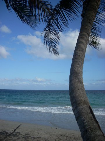 Plage du Diamant au pied de la rsidence