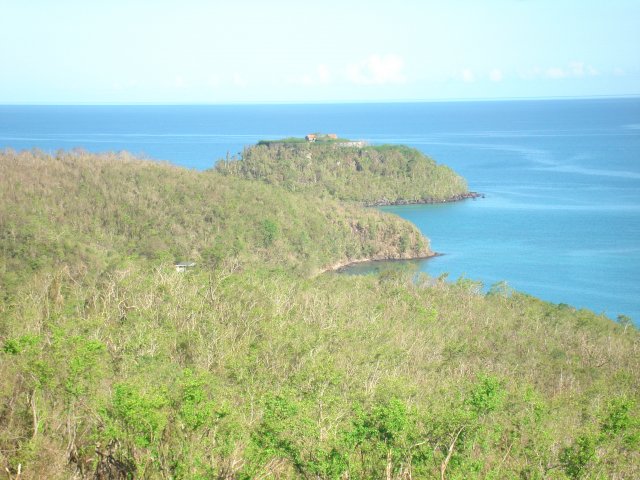 VUE SUR ILET LES RAMIERS DEPUIS LA TERASSE