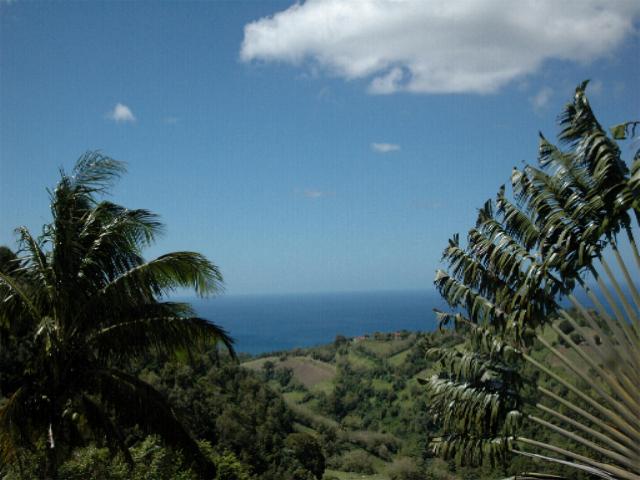 SUPERBE VUE panoramique sur la baie de St Pierre et la montagne Pele