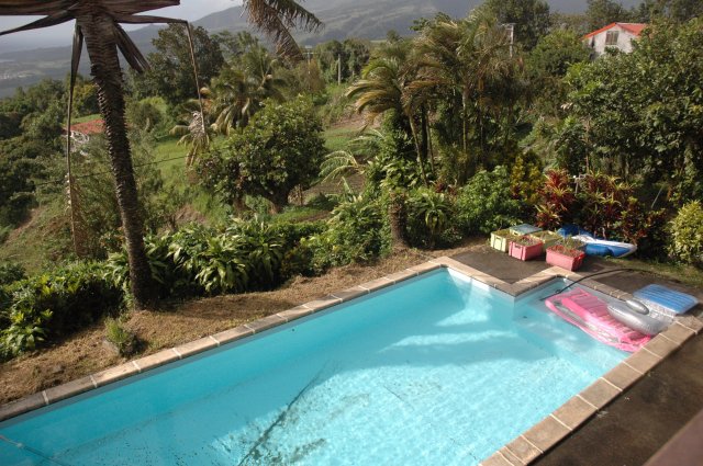 piscine vue de la terrasse