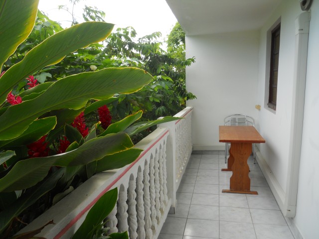 Grande Terrasse avec vue sur le jardin