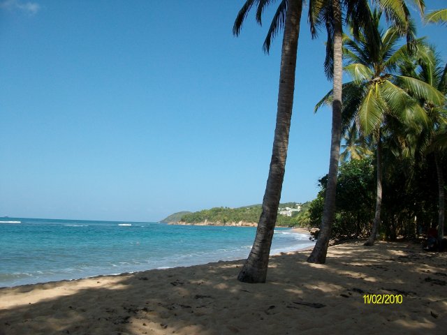 Plage Anse l Etang  Tartane  25 mtres du bungalow