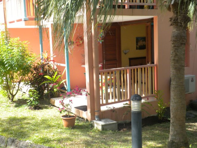 La terrasse et son petit jardin