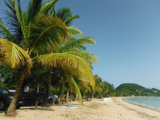 La plage de la Pointe Marin,  10 min  pied du studio