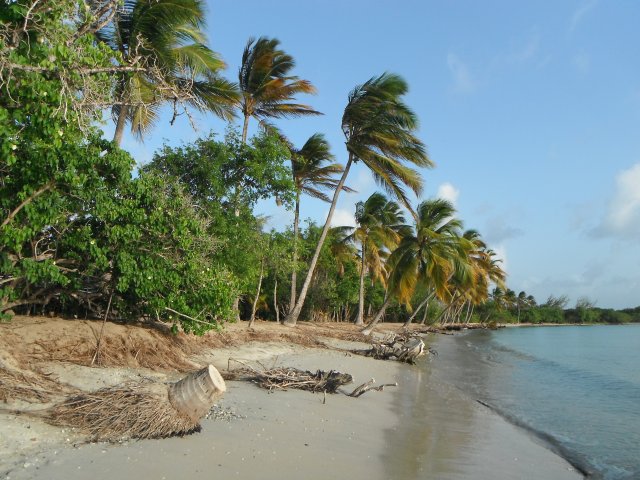 La clbre plage des Salines  2km du studio