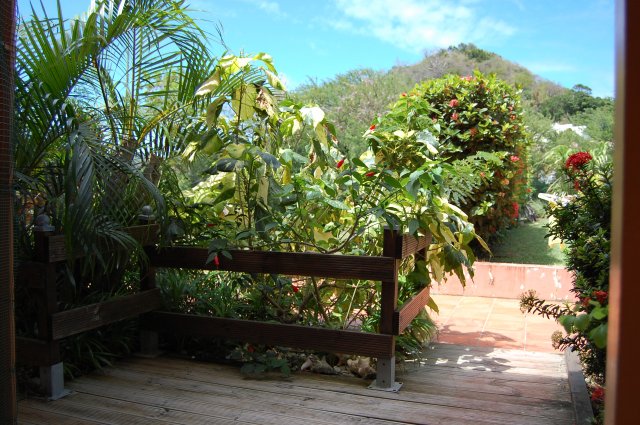 La vue depuis la terrasse