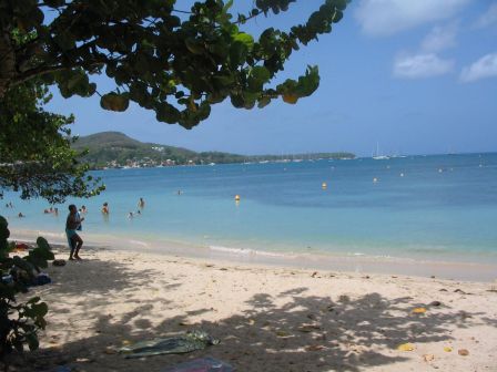 Plage de la pointe Marin aussi appel Plage du club Med