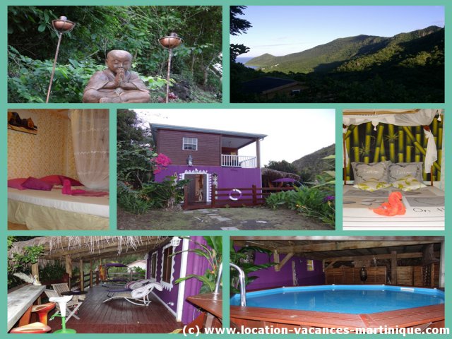 Location 4-5 personnes avec terrasse en bois piscine et vue sur la forêt tropicale Location 4-5 personnes avec terrasse en bois piscine et vue sur la forêt tropicale