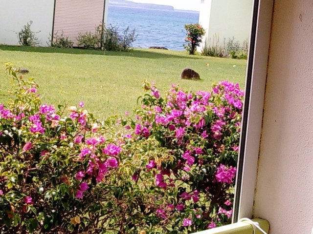petite vue mer du studio petite vue mer du studio