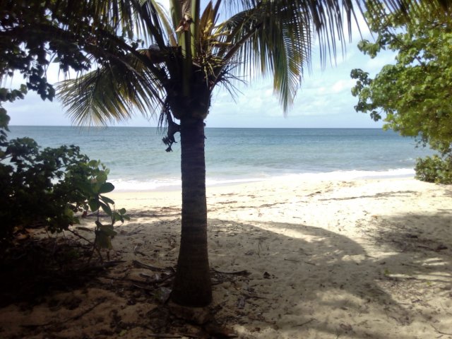 jolie plage de la commune