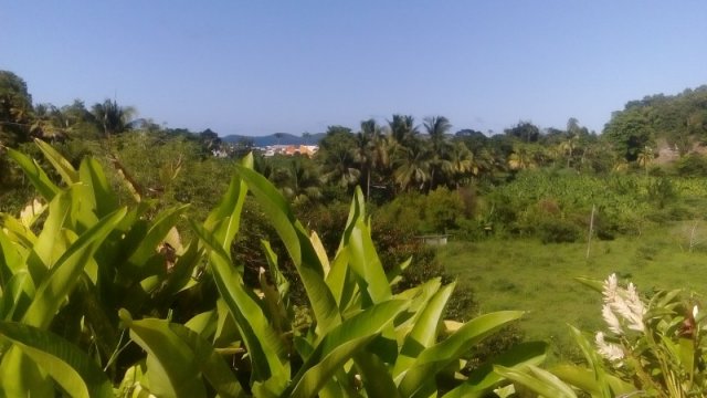 Vue de la terrasse